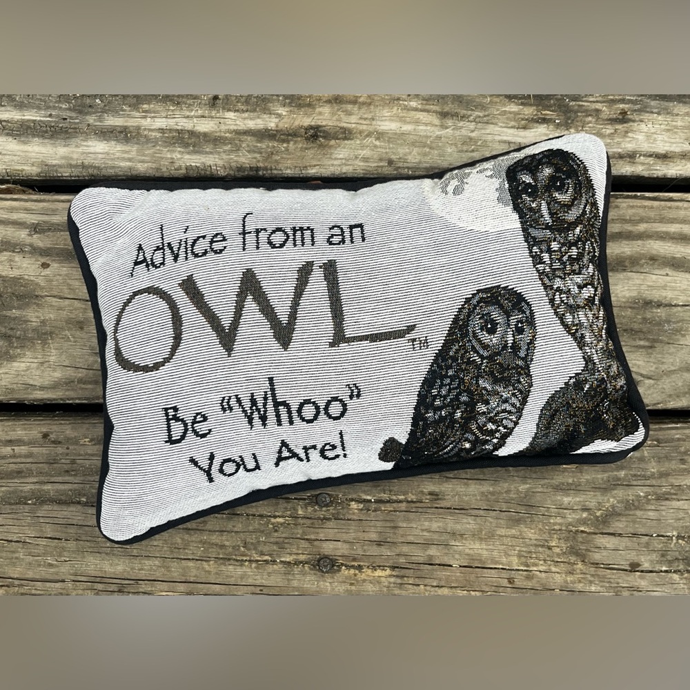 SMALL DOUBLE SIDED DECOR PILLOW WITH OWLS & ADVICE FROM BLACK FOREST DECOR